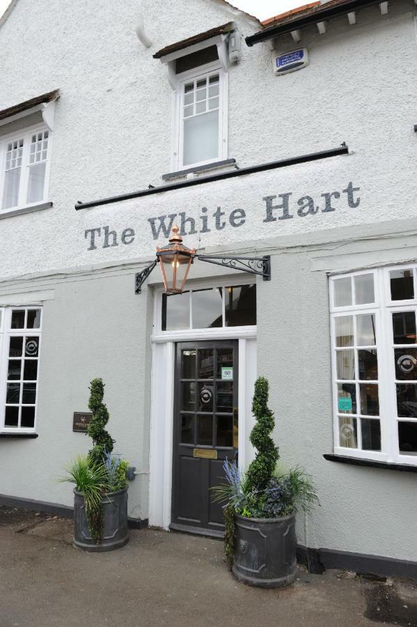 فندق White Hart By Chef & Brewer Collection Chalfont St Giles المظهر الخارجي الصورة